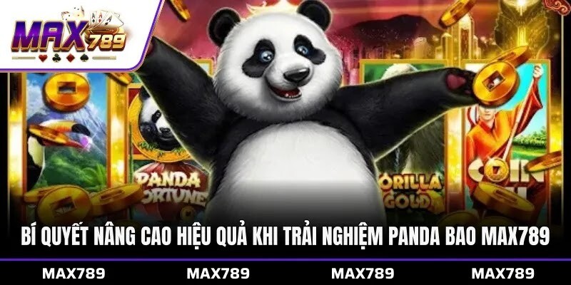 Bí quyết nâng cao hiệu quả khi trải nghiệm Panda Bao Max789
