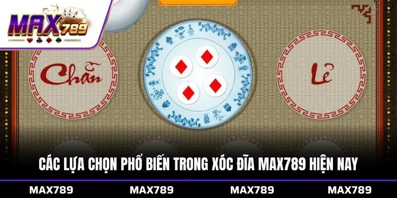 Các lựa chọn phổ biến trong xóc đĩa Max789 hiện nay