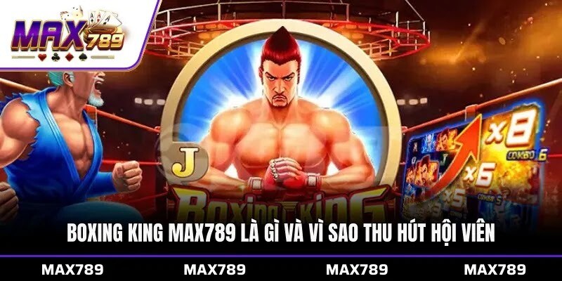 Boxing King Max789 là gì và vì sao thu hút hội viên