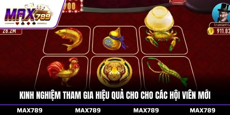 Kinh nghiệm tham gia hiệu quả cho cho các hội viên mới 