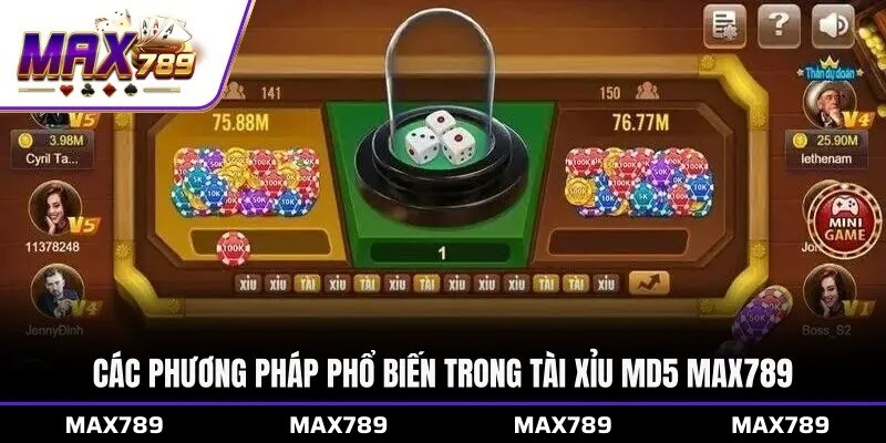 Các phương pháp phổ biến trong Tài xỉu MD5 Max789