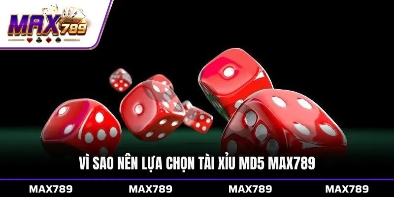 Vì sao nên lựa chọn Tài xỉu MD5 Max789