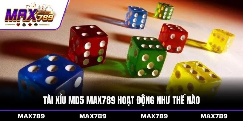 Tài xỉu MD5 Max789 hoạt động như thế nào