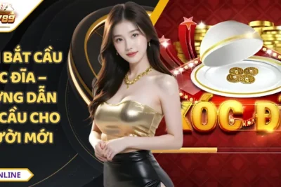 Cách Bắt Cầu Xóc Đĩa – Hướng Dẫn Đọc Cầu Cho Người Mới