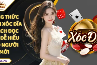 Công Thức Đánh Xóc Đĩa – Cách Đọc Cầu Dễ Hiểu Cho Người Mới