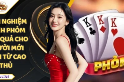 Kinh Nghiệm Đánh Phỏm Hiệu Quả Cho Người Mới Chơi Từ Cao Thủ