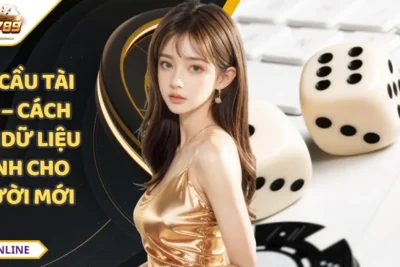 Soi Cầu Tài Xỉu – Cách Đọc Dữ Liệu Dành Cho Người Mới